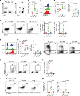 Antigen-Presenting B Cells Program the Efferent Lymph T Helper Cell Response